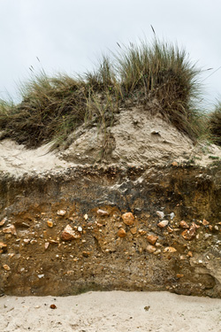 Praia fósil